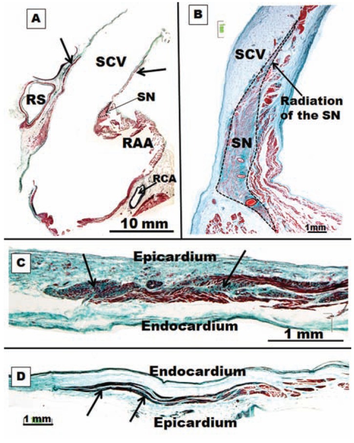 Fig. (7)