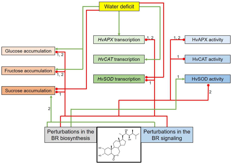 Figure 9