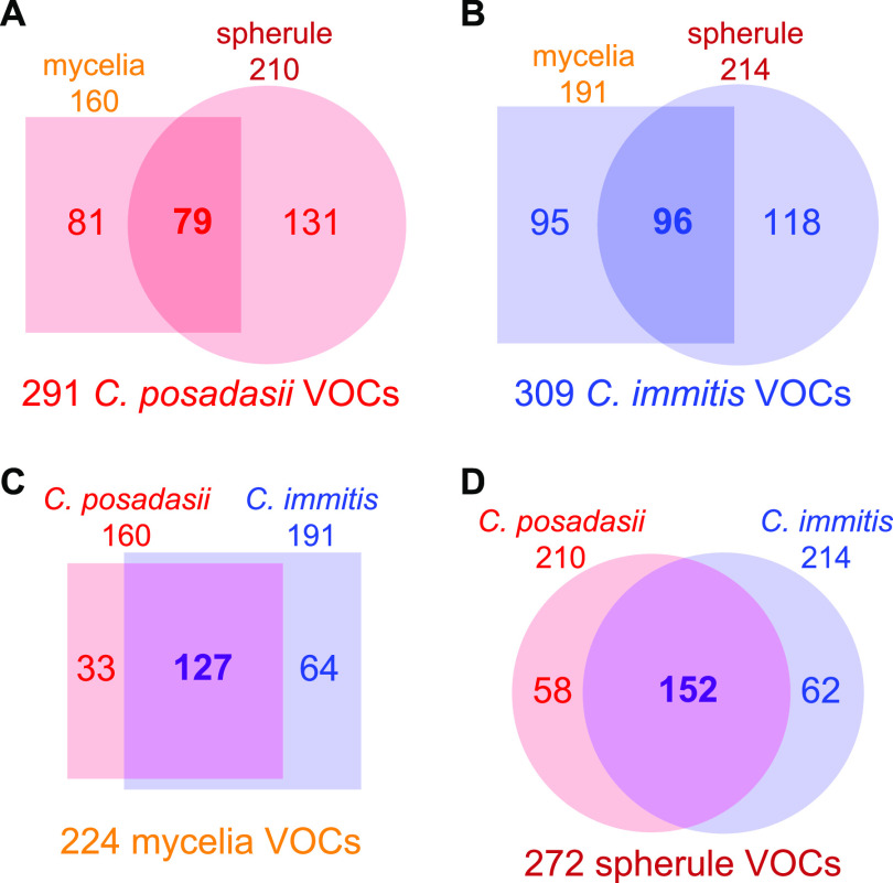 FIG 1