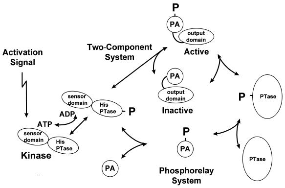 FIG. 1