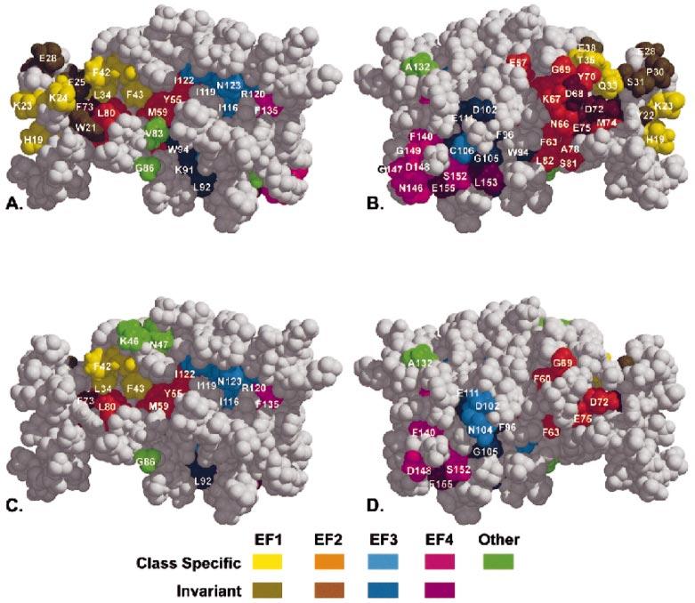 Fig. 11