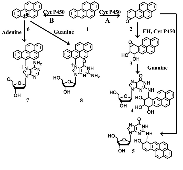 Scheme 3