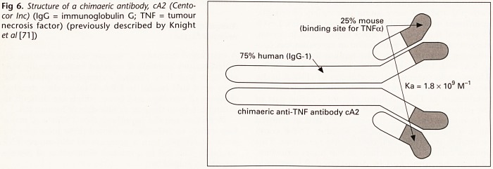 Fig 6.