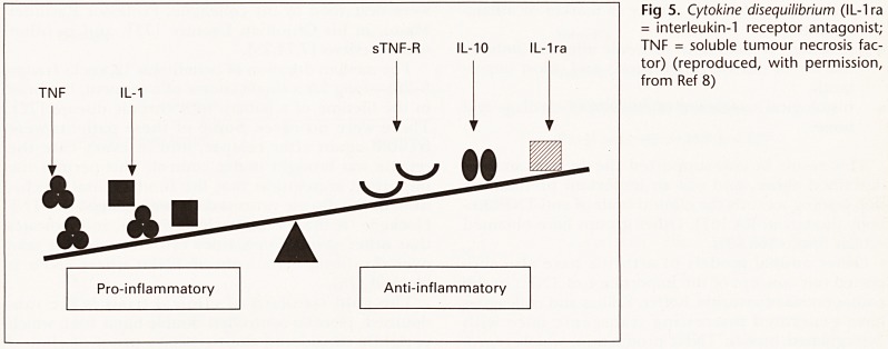 Fig 5.