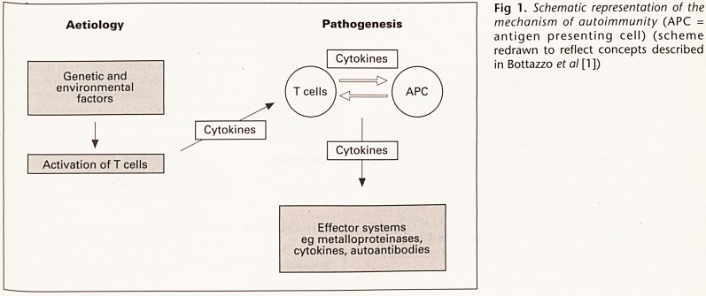 Fig 1.