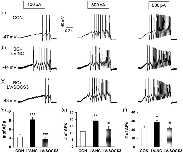 Figure 6.