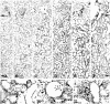 Figure 10.