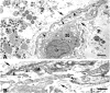 Figure 12.