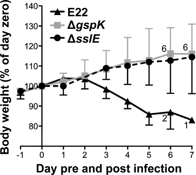 Fig 6