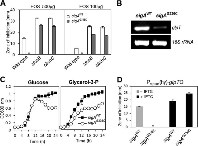 FIG 7