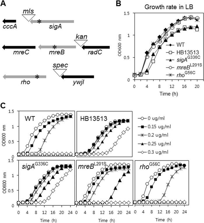 FIG 2