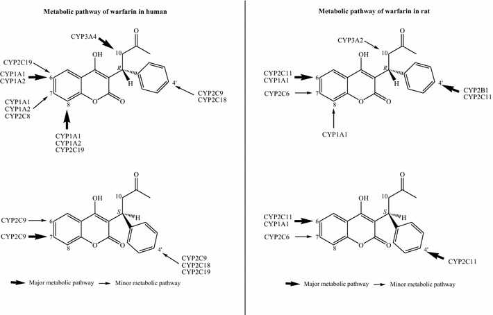 Fig. 11