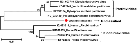 Fig. 8