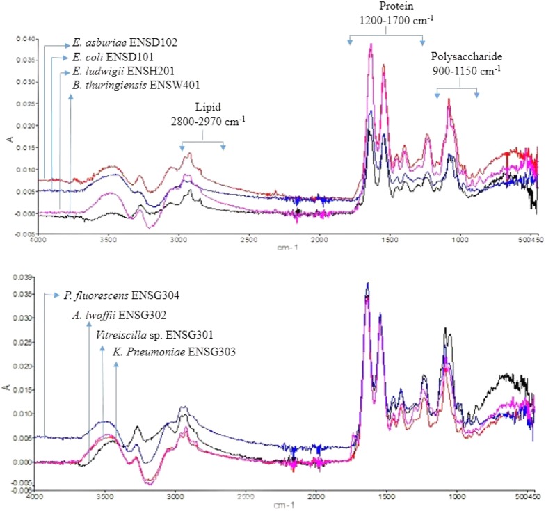 FIGURE 3