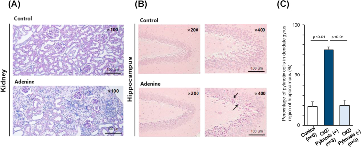 Figure 2