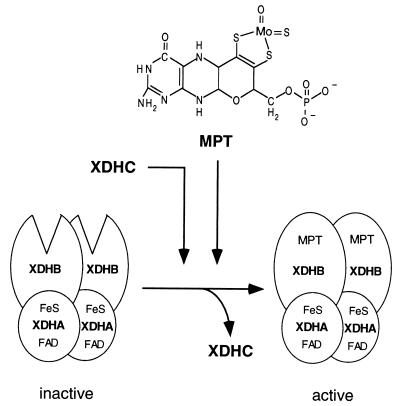 FIG. 6