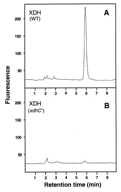 FIG. 5