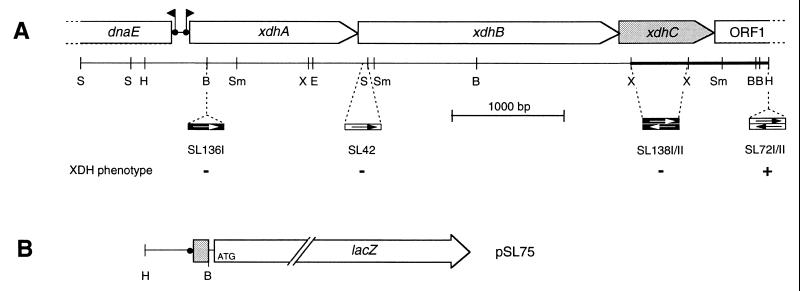 FIG. 1