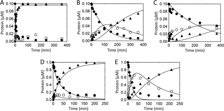 FIGURE 4.