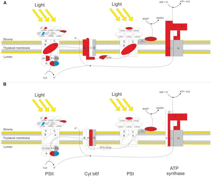 FIGURE 3