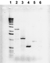 FIG. 5