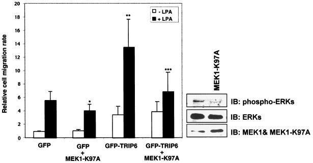 FIG. 8.