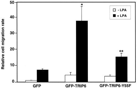 FIG. 7.