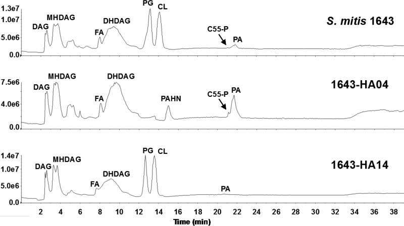 FIG 2