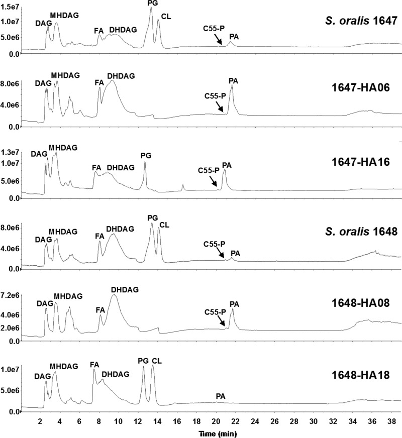 FIG 3