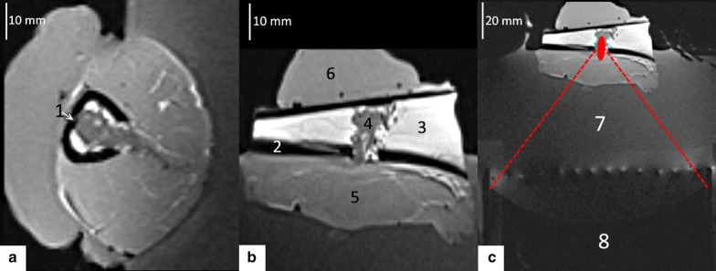 Fig. 3