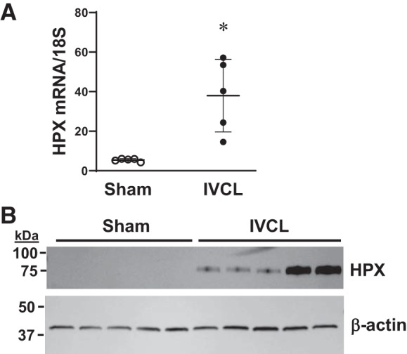 Fig. 11.