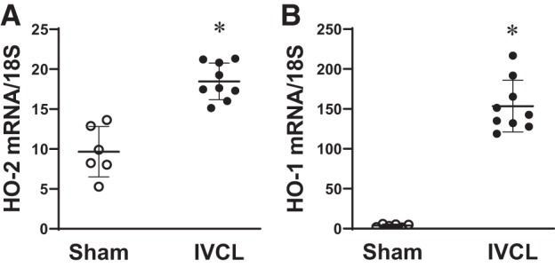 Fig. 13.