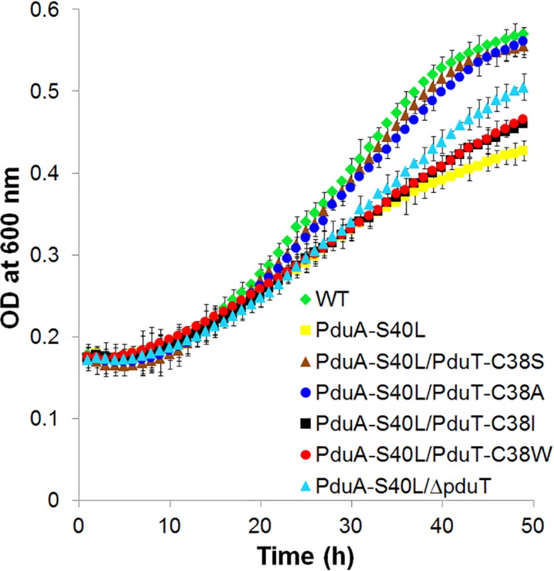 Fig. 3.