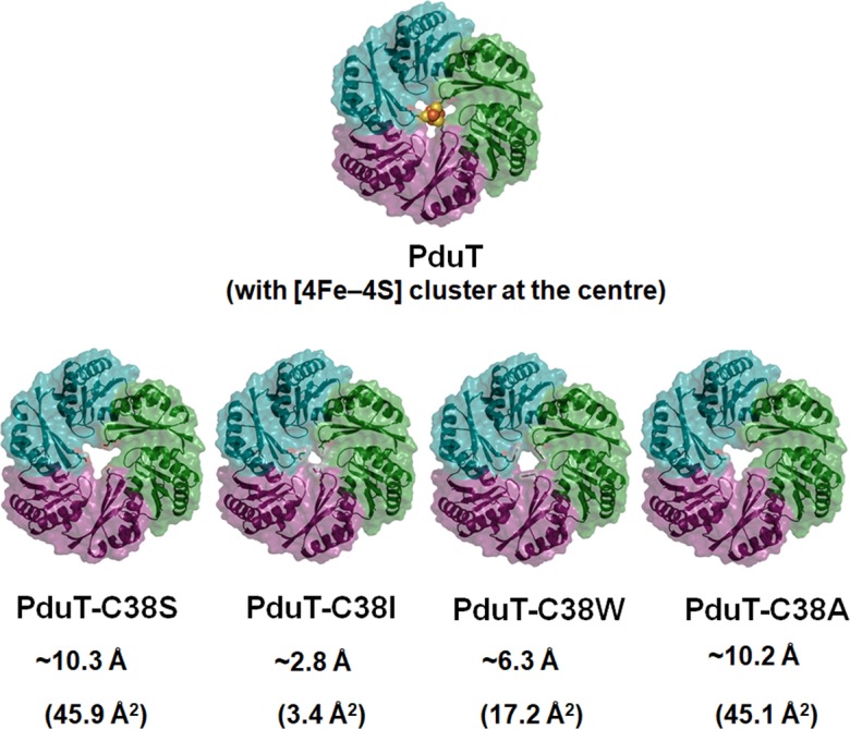 Fig. 2.