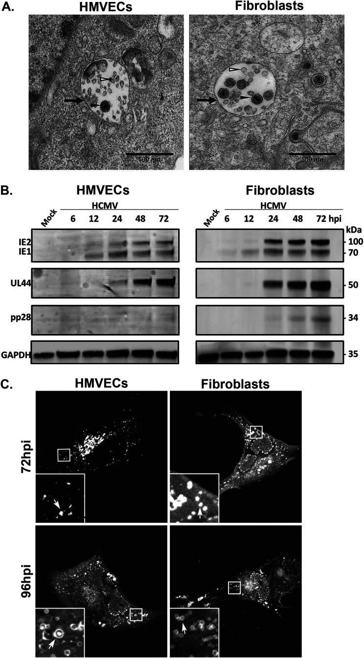 FIG 1