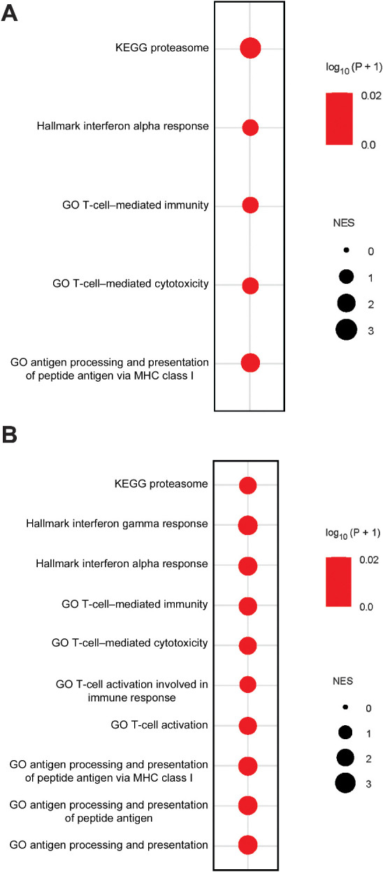 Figure 7. Low ATFIP or SETDB1 expression is associated with the hot tumor immune microenvironment in patients with cancer. A, Bubble plot showing multiple GSEA of the indicated pathways in a pan-cancer analysis of the TCGA dataset. NES >0: The gene set is enriched in ATF7IP low–expressing cancer samples (bottom 25%) compared with ATF7IP high–expressing cancer samples (top 25%). B, Bubble plot showing multiple GSEA of the indicated pathways in a pan-cancer analysis of the TCGA dataset. NES >0: The gene set is enriched in SETDB1 low–expressing cancer samples (bottom 25%) compared with SETDB1 high–expressing cancer samples (top 25%).