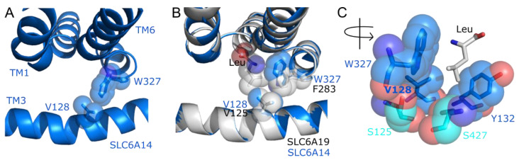 Figure 5