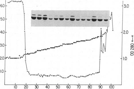 graphic file with name pnas00347-0057-a.jpg