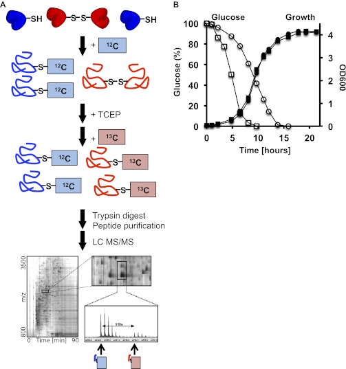 Figure 1—figure supplement 1.