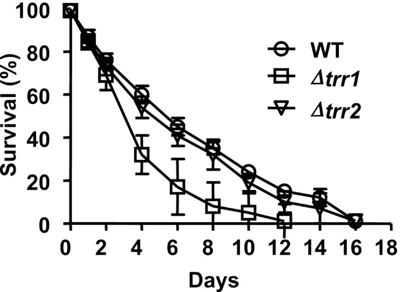 Figure 5—figure supplement 1.