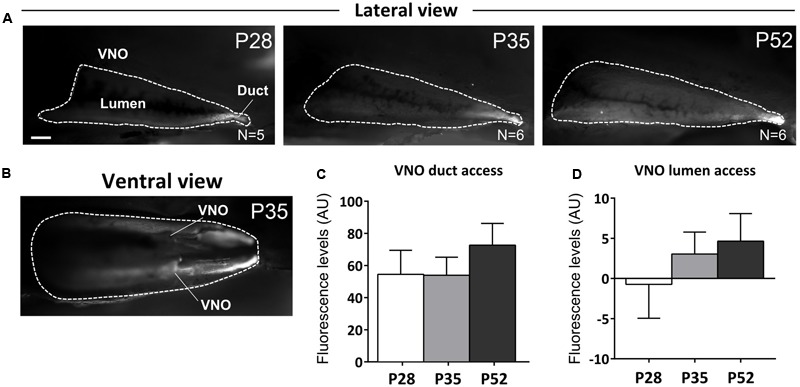 FIGURE 6