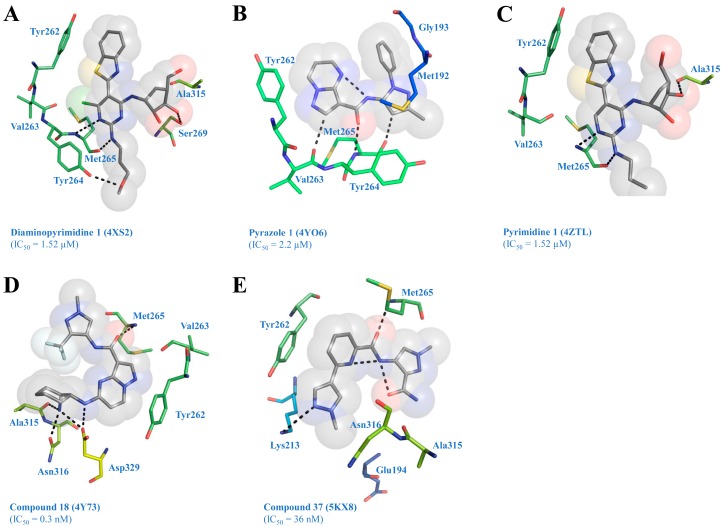 Figure 5