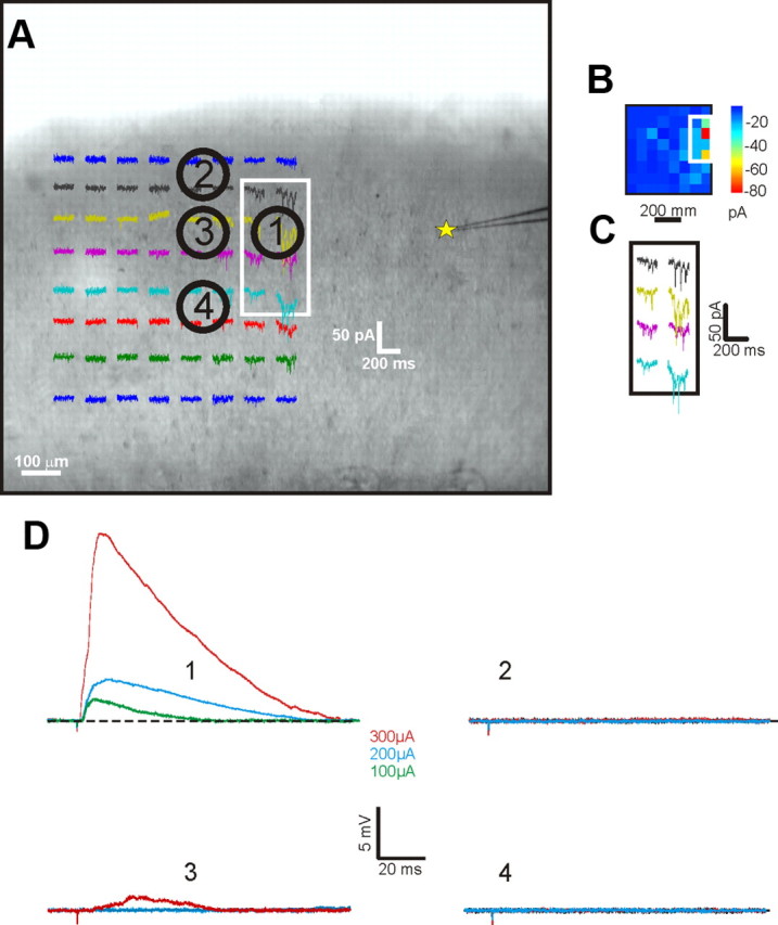 Figure 7.