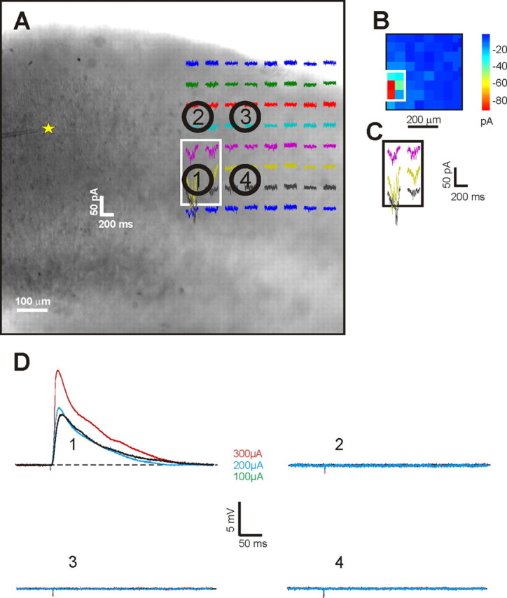 Figure 12.