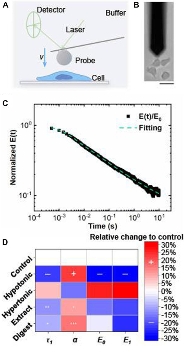 FIGURE 11