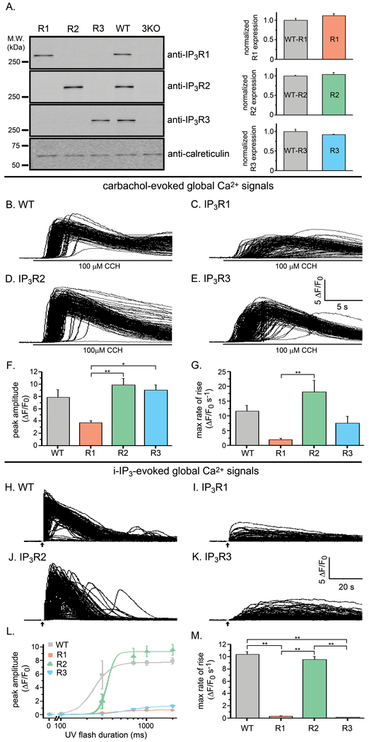 Fig. 1: