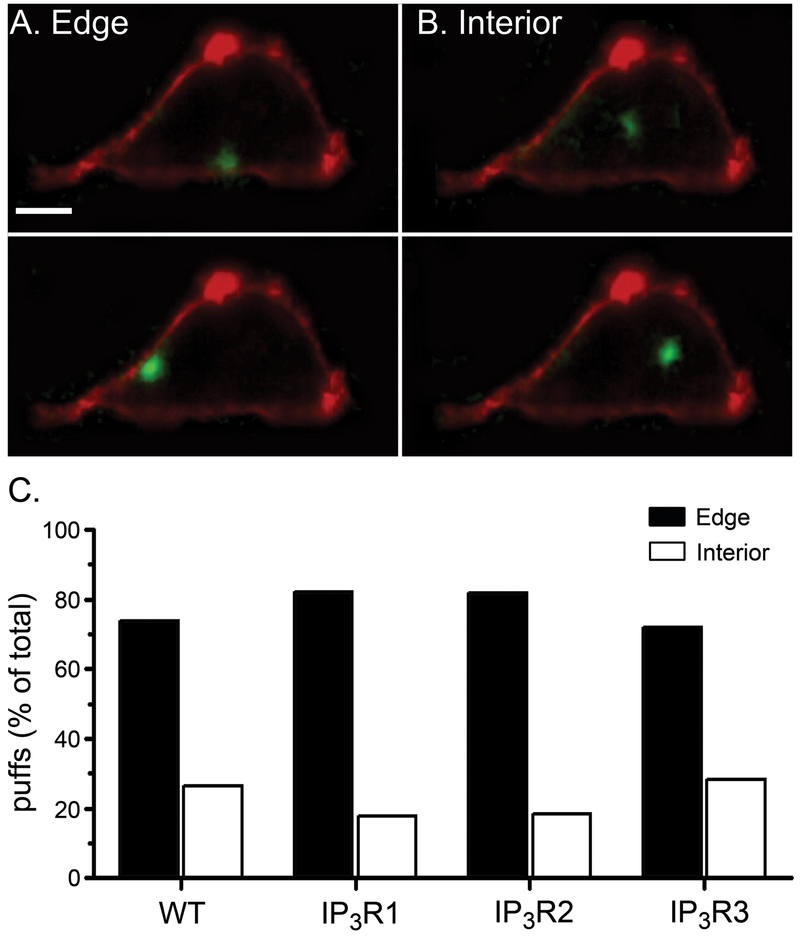 Fig. 8: