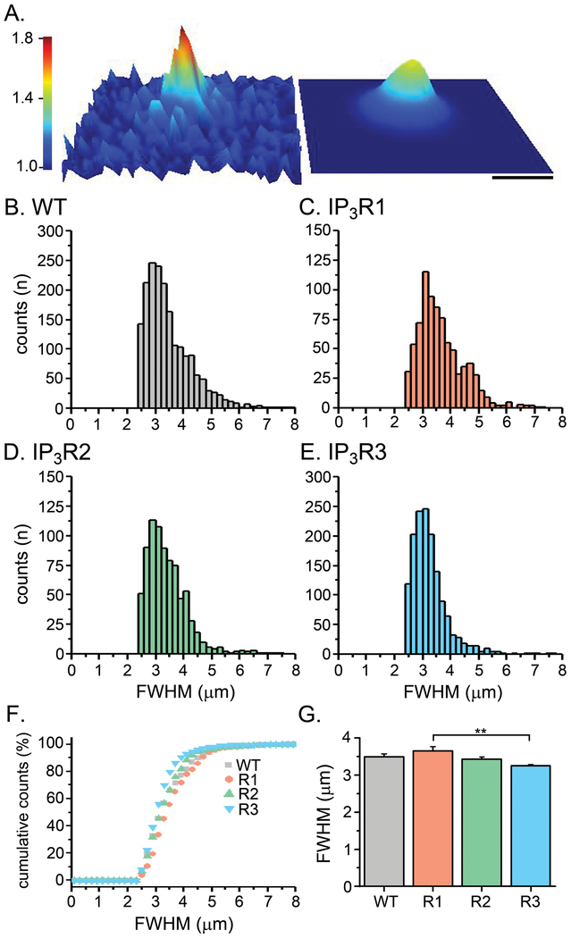 Fig. 6: