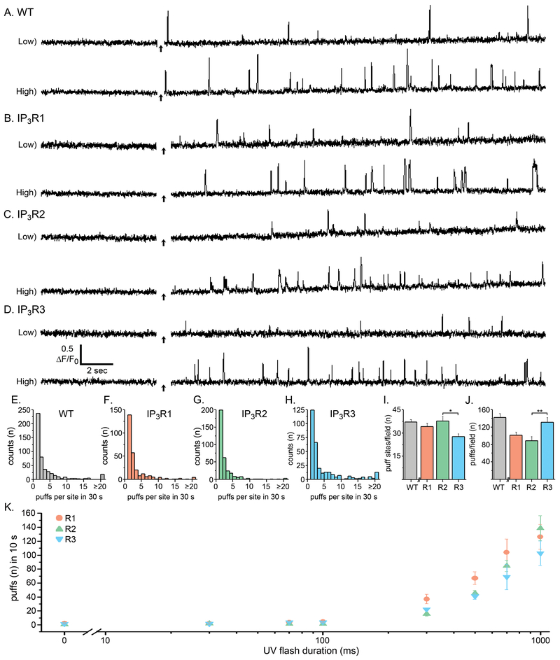 Fig. 2: