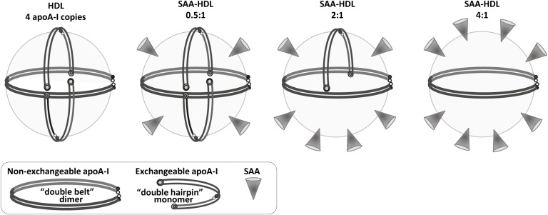 Fig. 8.